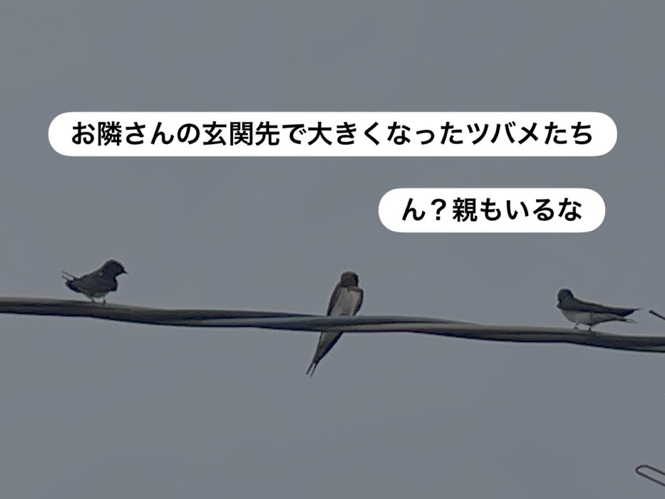 画像299