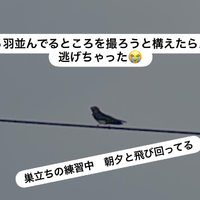 画像300