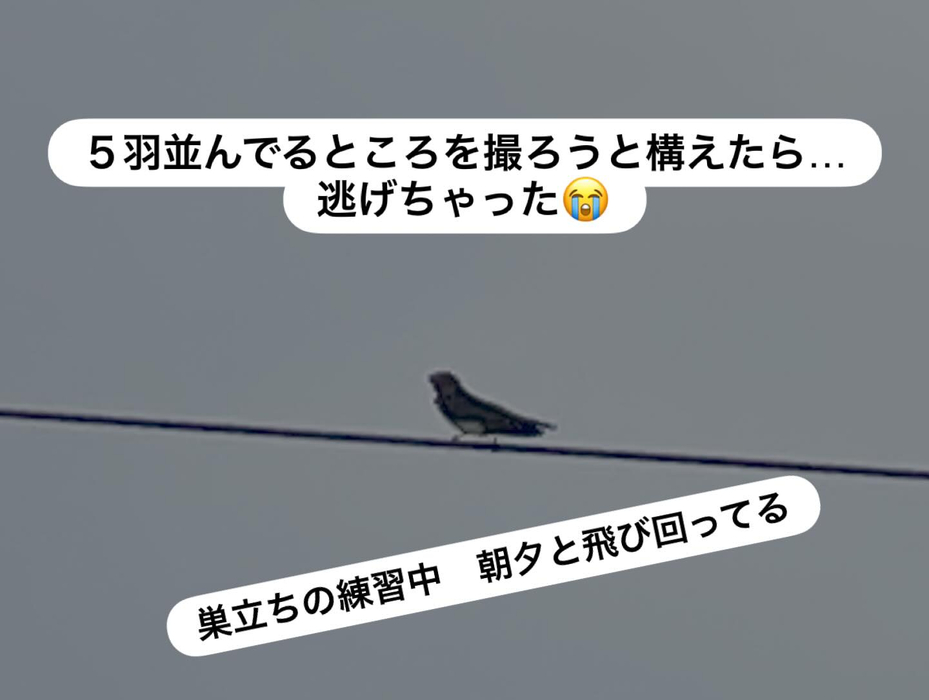 画像300