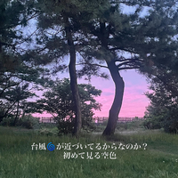画像449