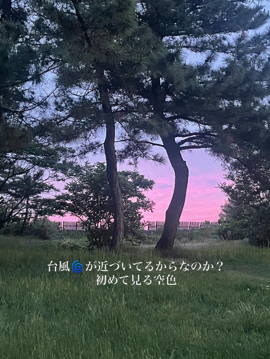 画像449