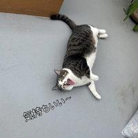 画像477