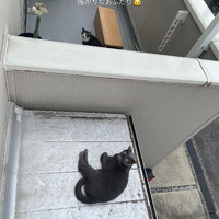 画像478