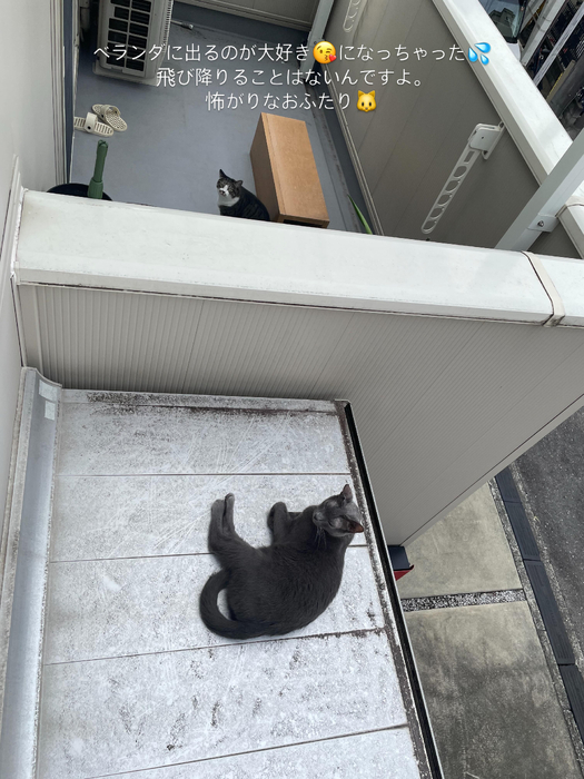 画像478
