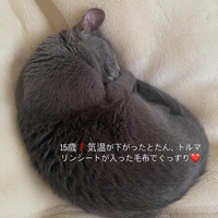 画像483