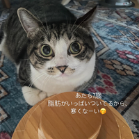 画像484
